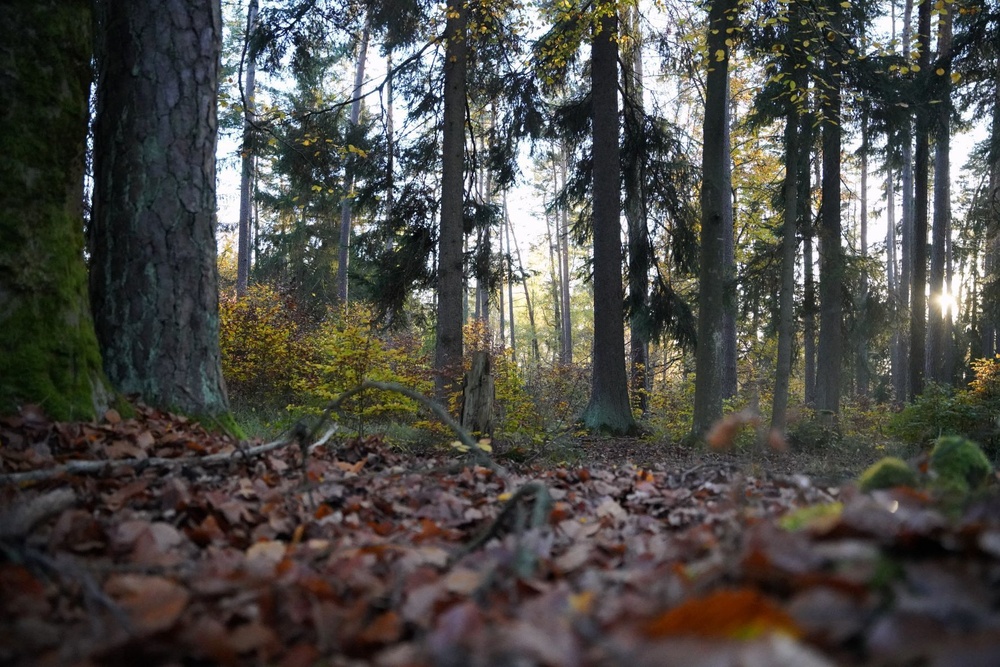 Forest management on display at Grafenwoehr