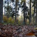 Forest management on display at Grafenwoehr