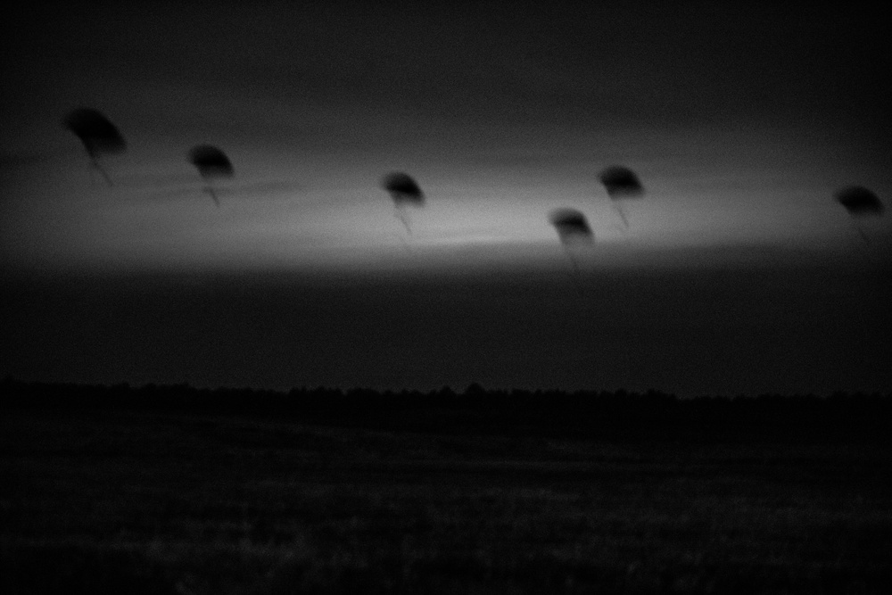 Paratroopers Jump onto Geronimo Drop Zone