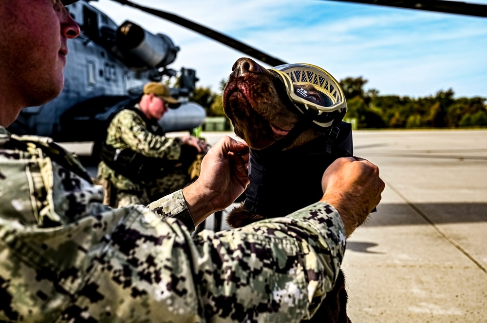 87th Air Base Wing Military Working Dog Section conducts joint training with Marine Aircraft Group 49