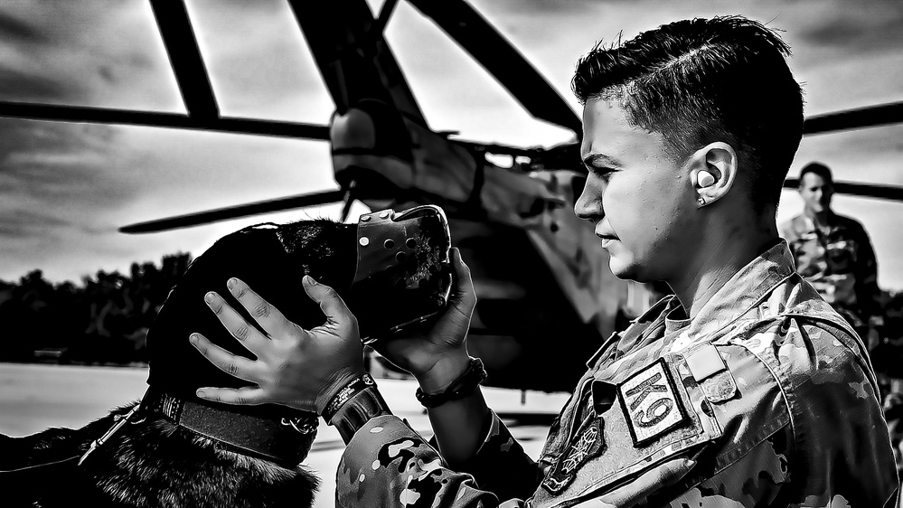 87th Air Base Wing Military Working Dog Section conducts joint training with Marine Aircraft Group 49