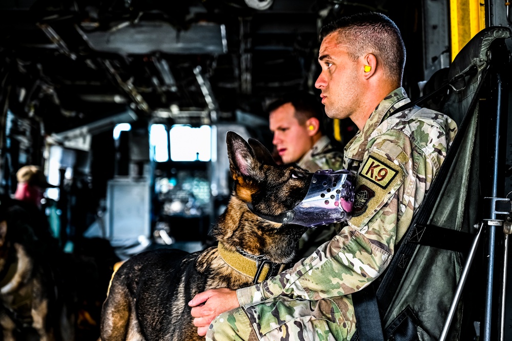 87th Air Base Wing Military Working Dog Section conducts joint training with Marine Aircraft Group 49