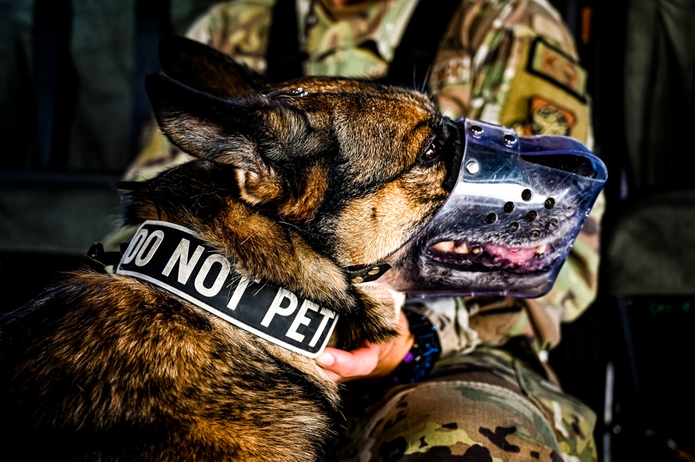 87th Air Base Wing Military Working Dog Section conducts joint training with Marine Aircraft Group 49