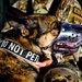 87th Air Base Wing Military Working Dog Section conducts joint training with Marine Aircraft Group 49