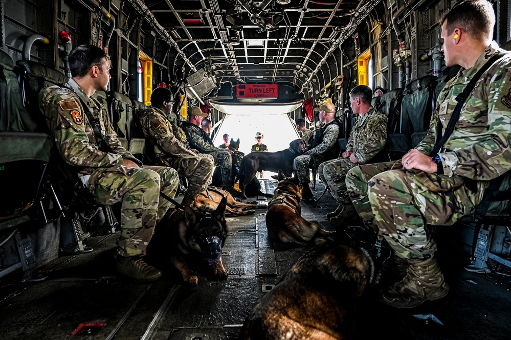 87th Air Base Wing Military Working Dog Section conducts joint training with Marine Aircraft Group 49