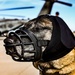 87th Air Base Wing Military Working Dog Section conducts joint training with Marine Aircraft Group 49