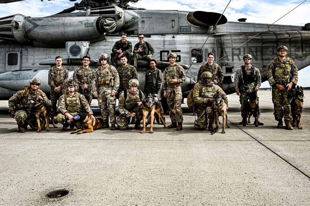 87th Air Base Wing Military Working Dog Section conducts joint training with Marine Aircraft Group 49