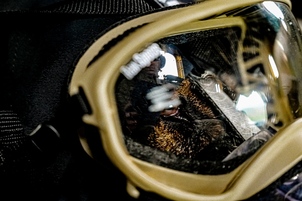 87th Air Base Wing Military Working Dog Section conducts joint training with Marine Aircraft Group 49