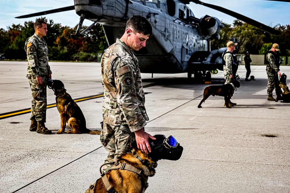 87th Air Base Wing Military Working Dog Section conducts joint training with Marine Aircraft Group 49