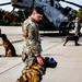 87th Air Base Wing Military Working Dog Section conducts joint training with Marine Aircraft Group 49