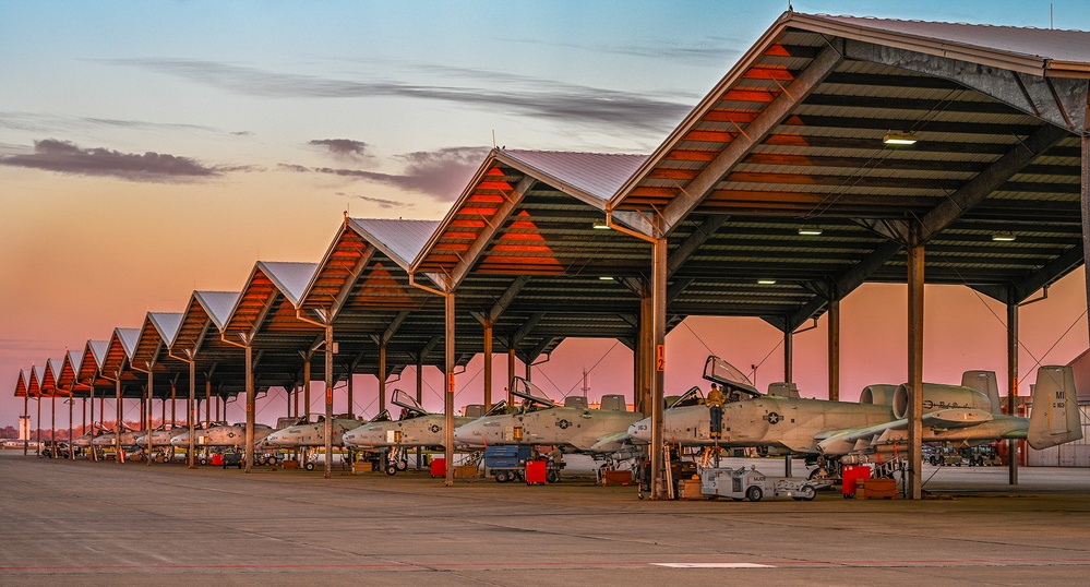 Selfridge A-10 Operations