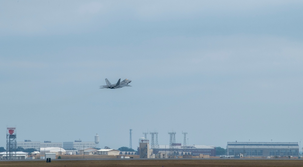 Raptor activity