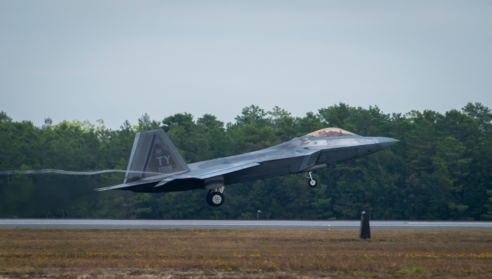 Raptor activity