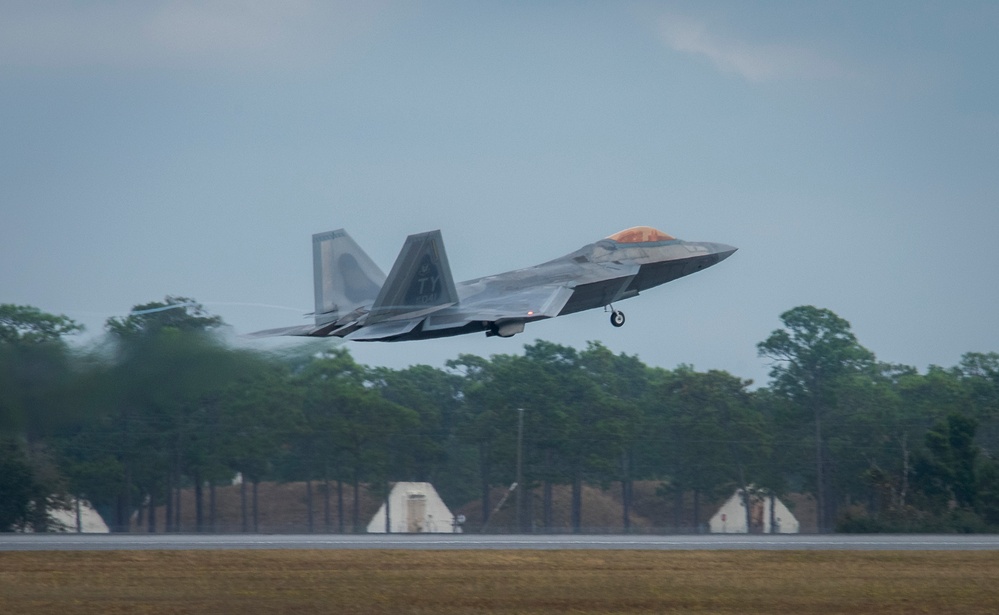 Raptor activity