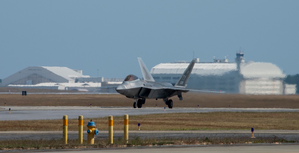 Raptor activity