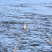 U.S. Fish &amp; Wildlife restock north lake with trout