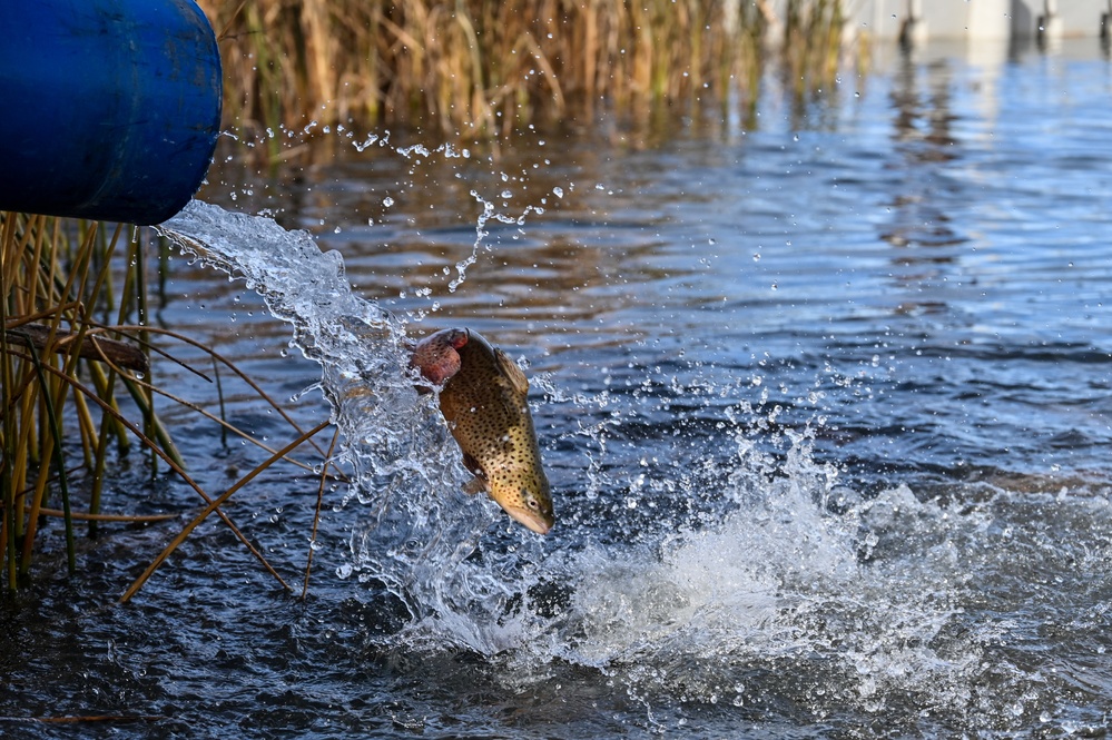U.S. Fish &amp; Wildlife restock north lake with trout