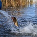 U.S. Fish &amp; Wildlife restock north lake with trout
