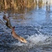 U.S. Fish &amp; Wildlife restock north lake with trout