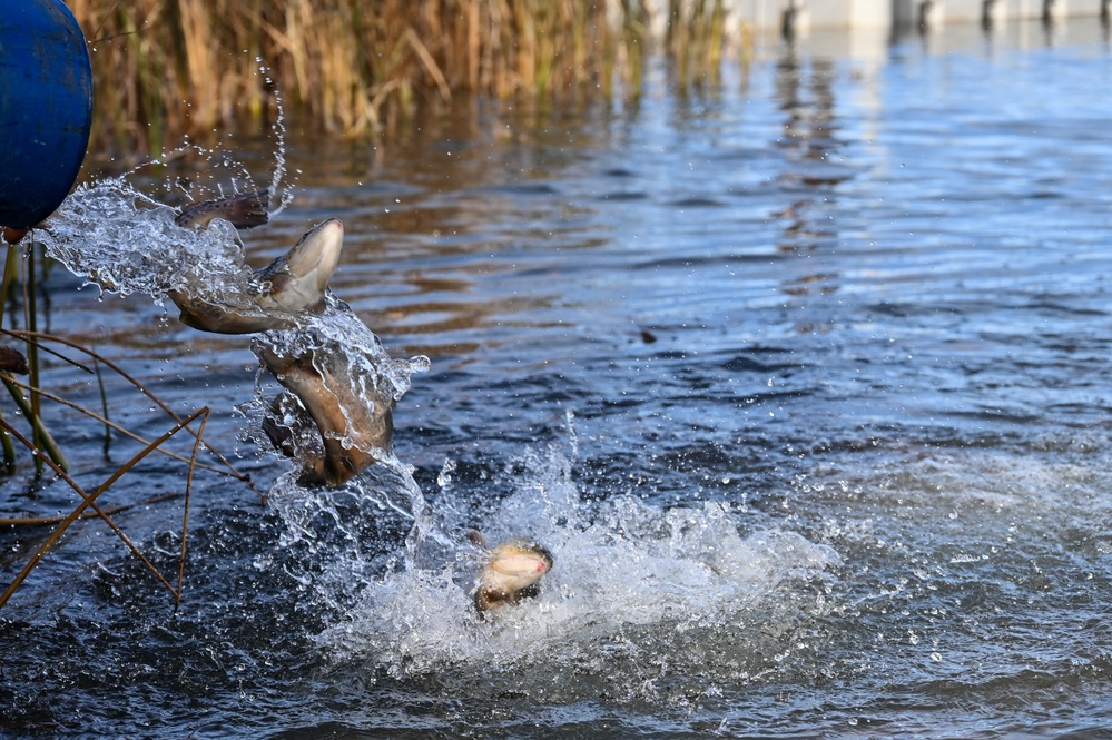 U.S. Fish &amp; Wildlife restock north lake with trout
