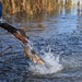 U.S. Fish &amp; Wildlife restock north lake with trout
