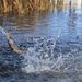 U.S. Fish &amp; Wildlife restock north lake with trout