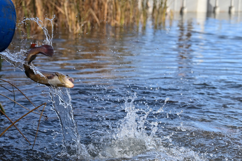 U.S. Fish &amp; Wildlife restock north lake with trout