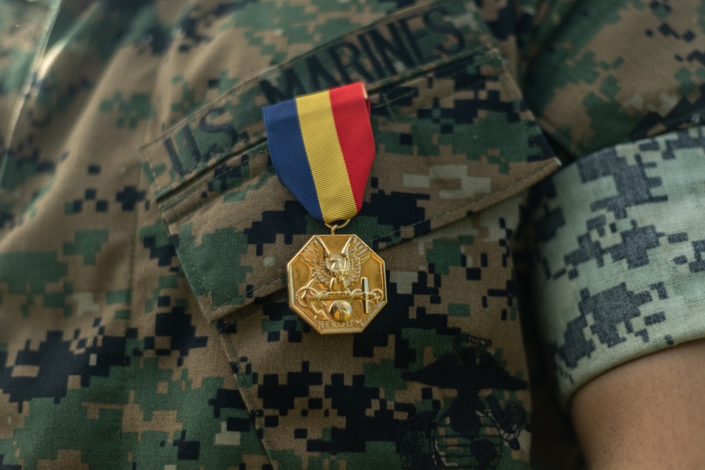 Cpl. Robert Farmer Awarded Navy and Marine Corps Medal