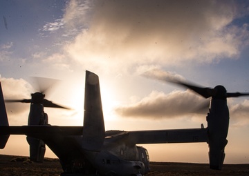 WTI 1-23: FINEX Hoist