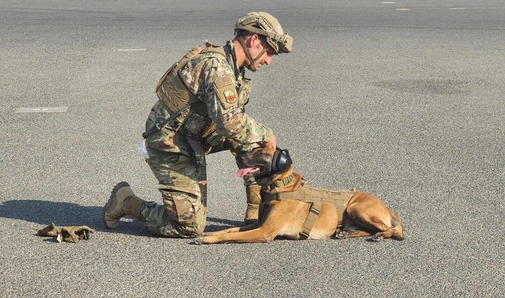 K-9 Mission