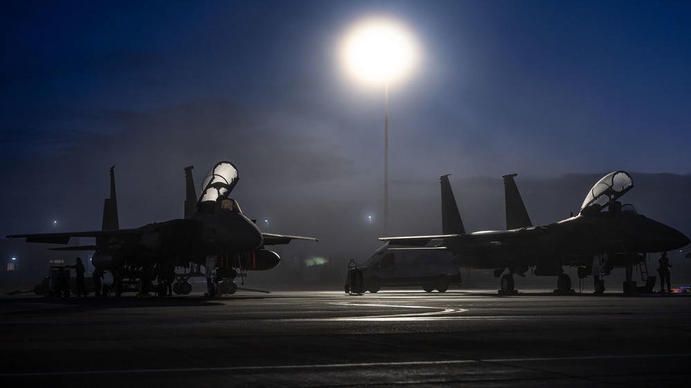 Eagles in the mist