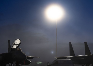 Eagles in the mist