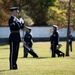 Thunderbirds honor Pattillo family in Arlington flyover