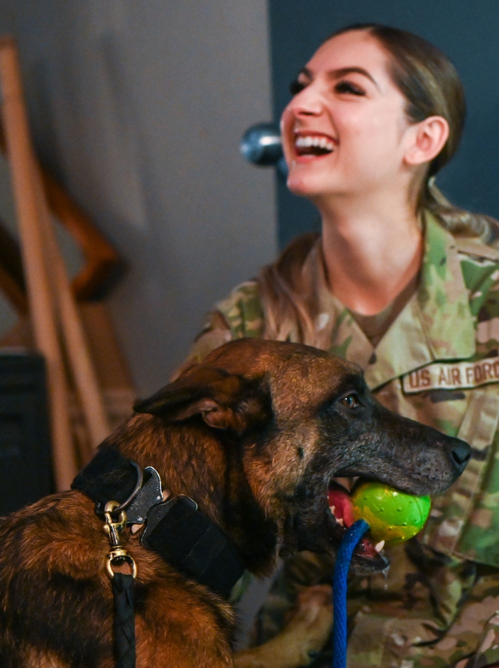 Behind the scenes: Military working dog picture day