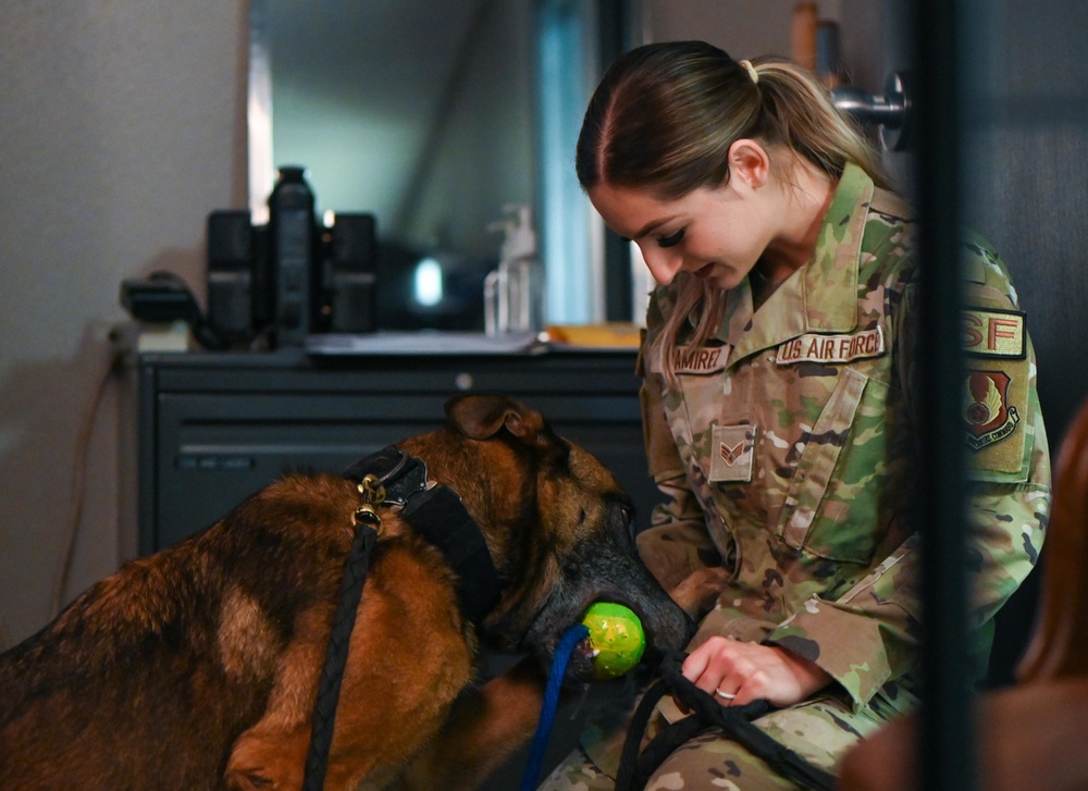 Behind the scenes: Military working dog picture day