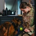 Behind the scenes: Military working dog picture day