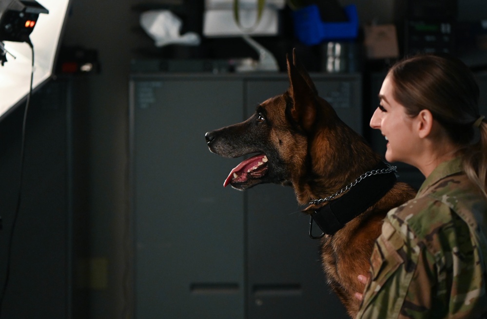 Behind the scenes: Military working dog picture day