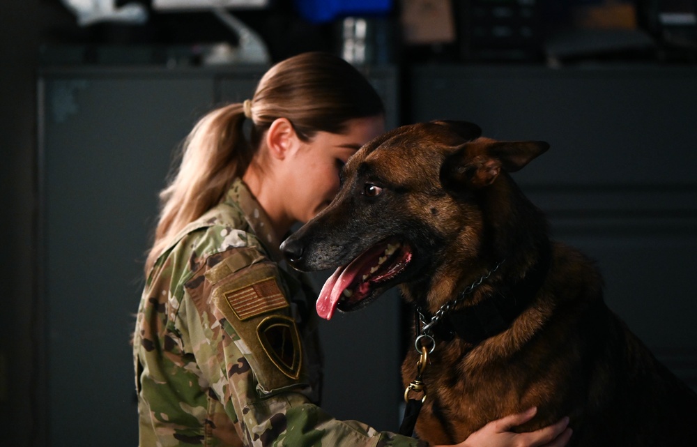 Behind the scenes: Military working dog picture day