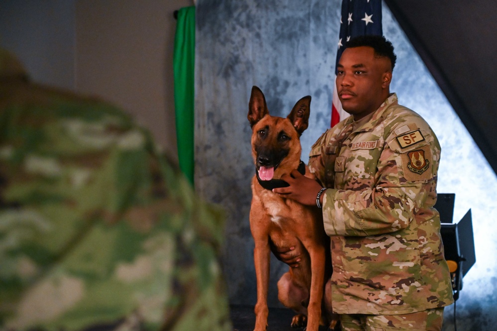 Behind the scenes: Military working dog picture day