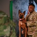 Behind the scenes: Military working dog picture day