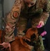 Behind the scenes: Military working dog picture day