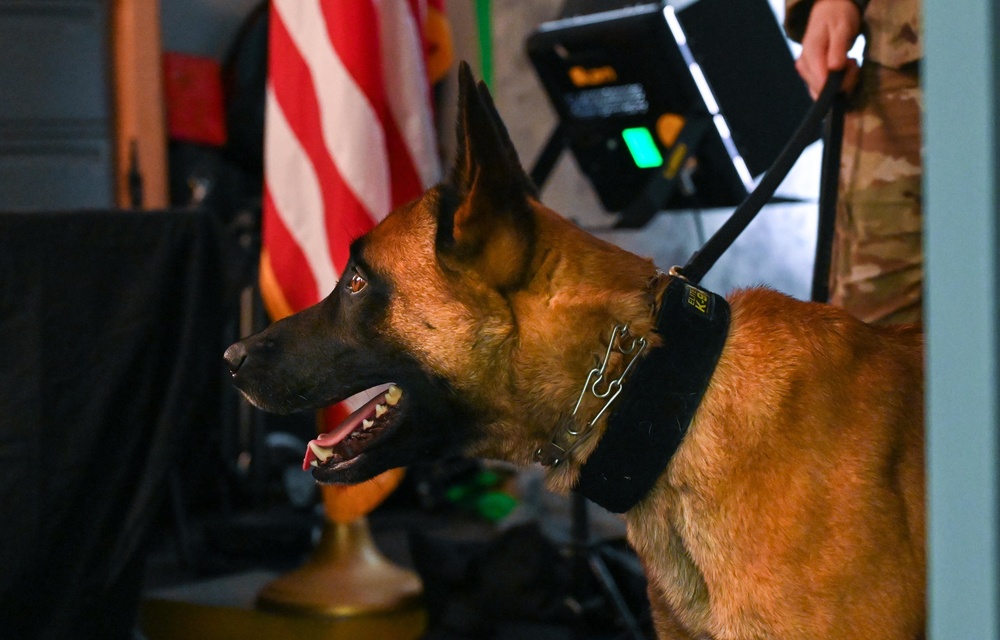 Behind the scenes: Military working dog picture day