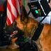 Behind the scenes: Military working dog picture day