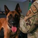 Behind the scenes: Military working dog picture day