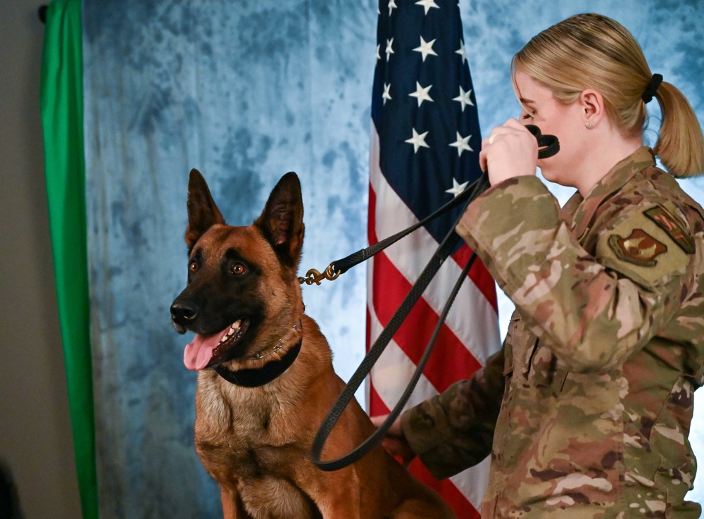 Behind the scenes: Military working dog picture day