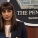 Pentagon Press Briefing