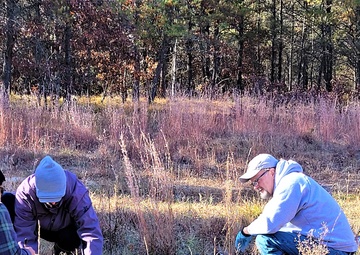 Wolves rescued from traps at Fort McCoy, then collared for satellite tracking