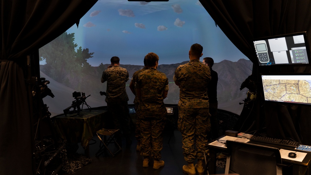 Exercise Vigilant Storm simulated close air support