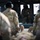 405 EAES and 386 EMDS perform life-saving training at Ali Al Salem Air Base