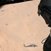 1st ERQG Airmen conduct training operations
